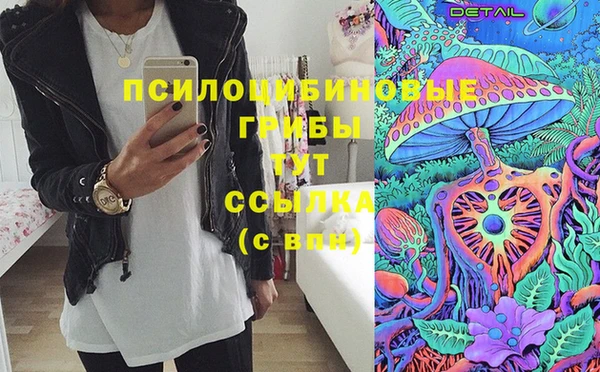 альфа пвп Заводоуковск