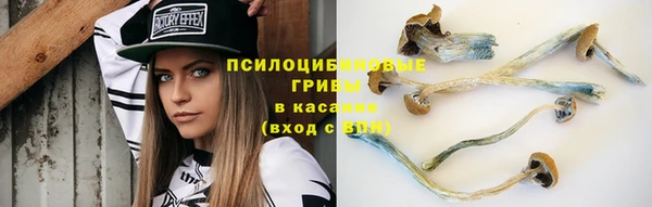 сатива Заволжск