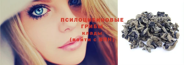 альфа пвп Заводоуковск