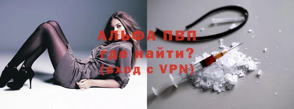 сатива Заволжск