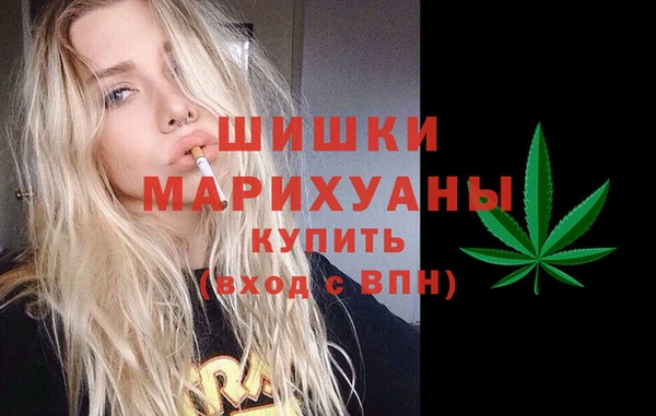 альфа пвп Заводоуковск