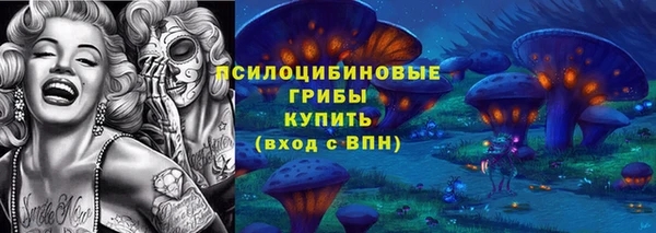сатива Заволжск